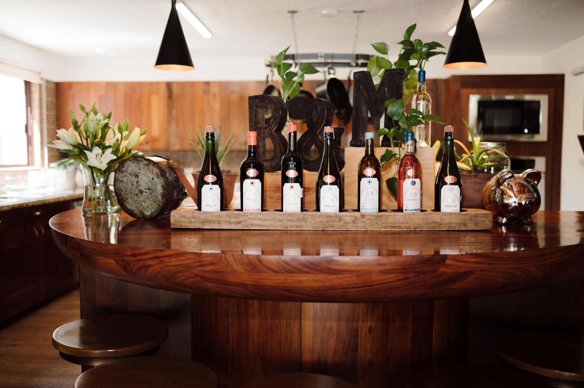 El Coyote Maria & Bernardo Casa - Vinedo Bed & Breakfast エクステリア 写真