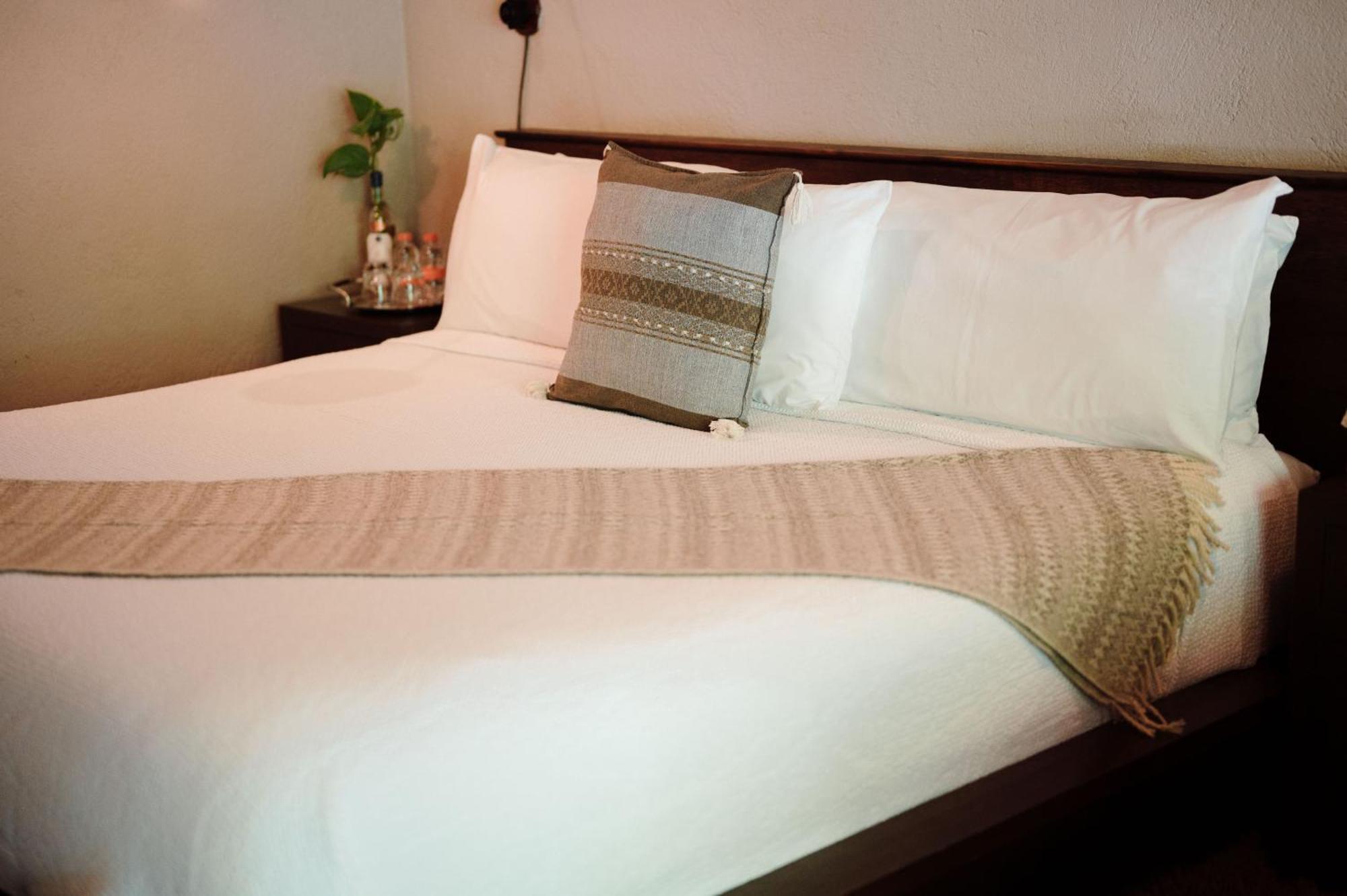 El Coyote Maria & Bernardo Casa - Vinedo Bed & Breakfast エクステリア 写真