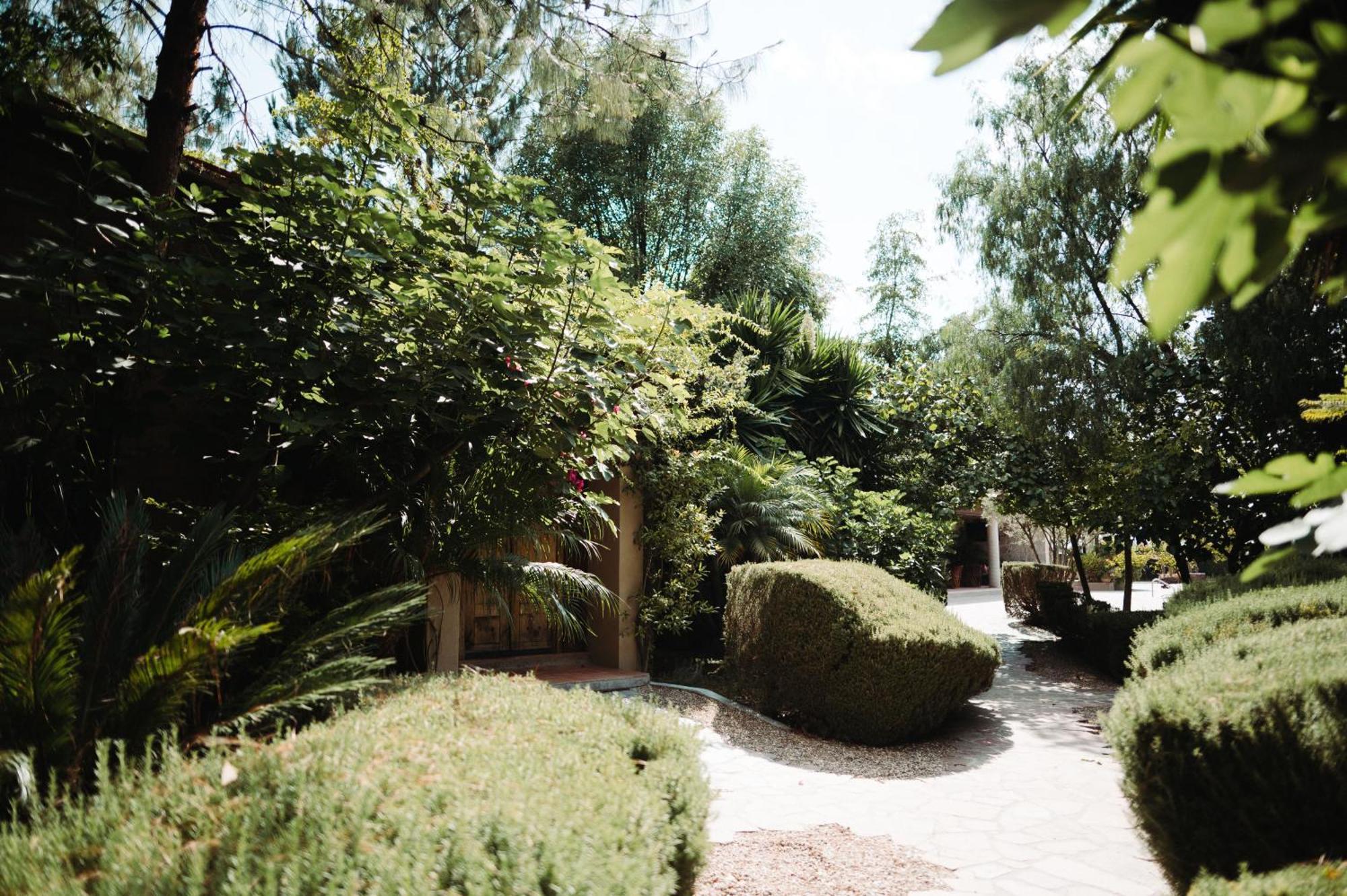 El Coyote Maria & Bernardo Casa - Vinedo Bed & Breakfast エクステリア 写真